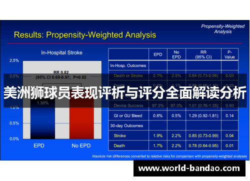 美洲狮球员表现评析与评分全面解读分析
