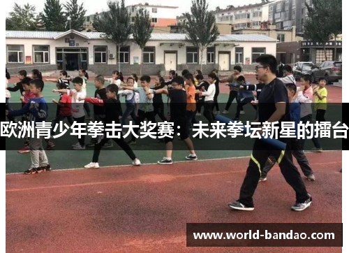 欧洲青少年拳击大奖赛：未来拳坛新星的擂台