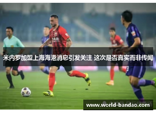 米内罗加盟上海海港消息引发关注 这次是否真实而非传闻