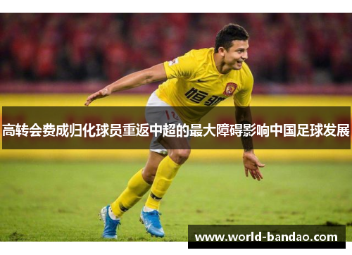 高转会费成归化球员重返中超的最大障碍影响中国足球发展