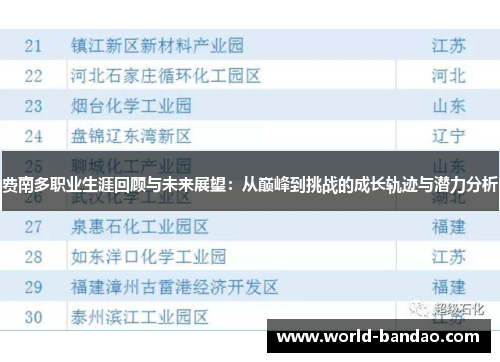 费南多职业生涯回顾与未来展望：从巅峰到挑战的成长轨迹与潜力分析